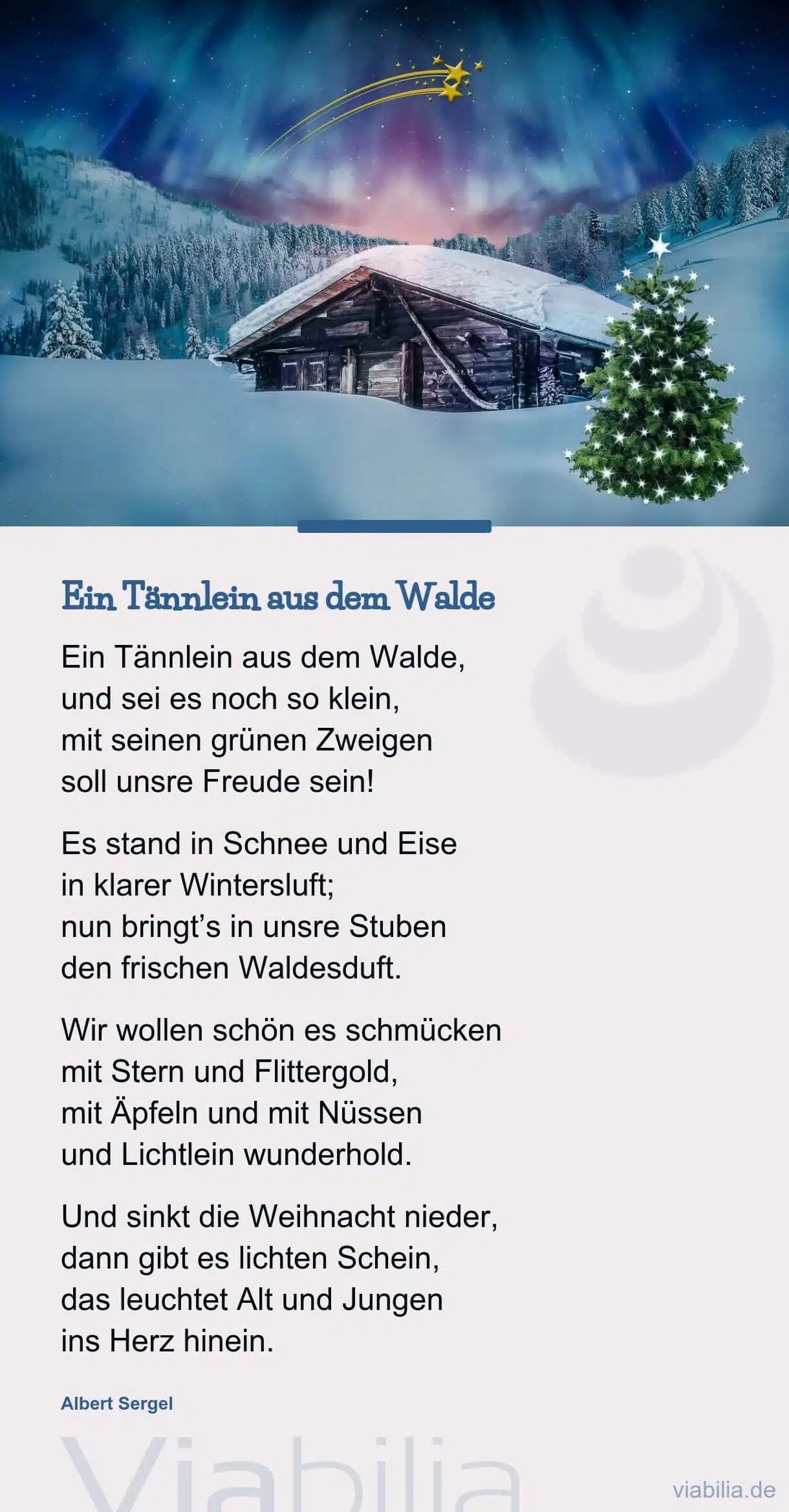 Adventsgedicht: ein Tännlein aus dem Walde