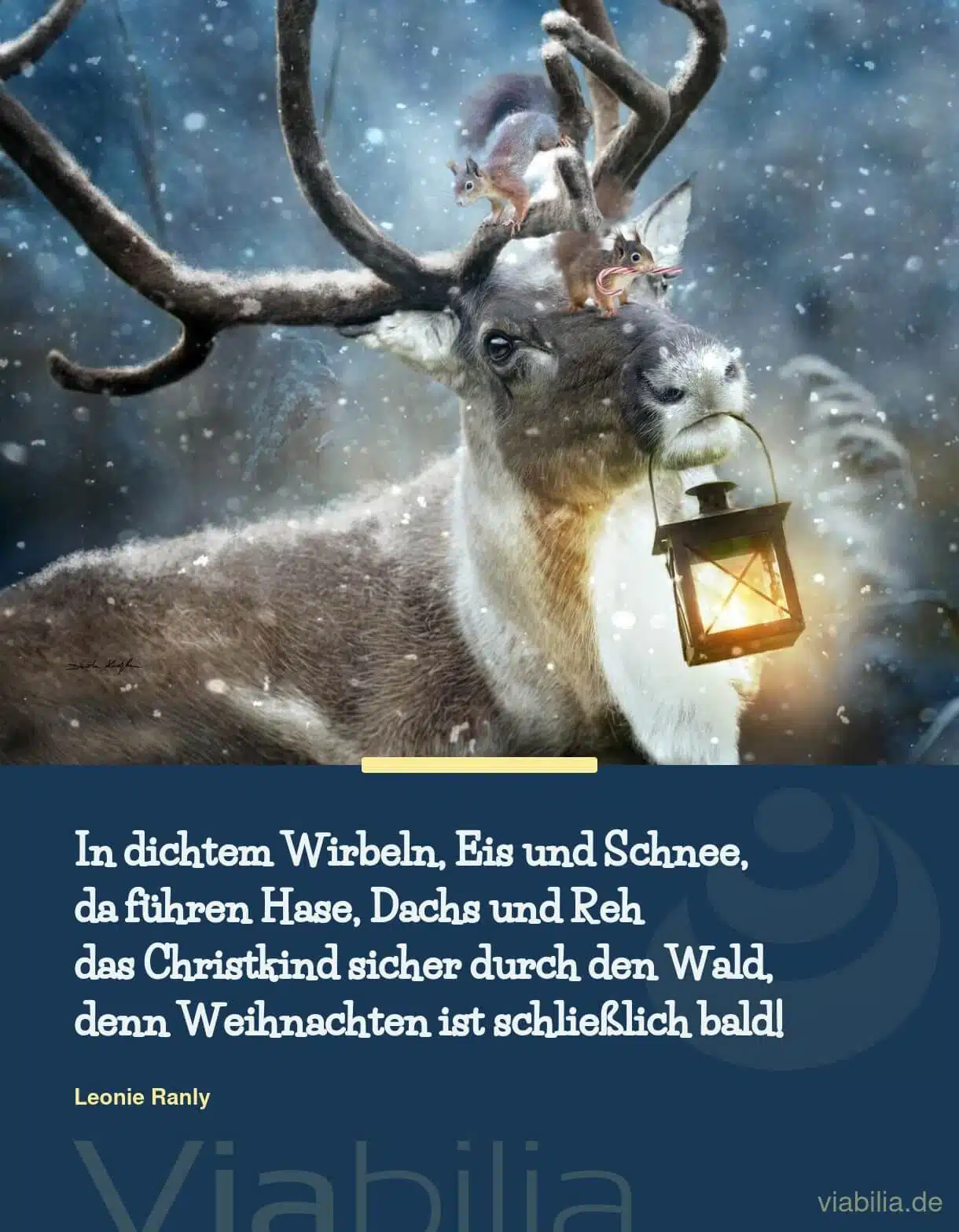 Kurzer Adventsspruch bzw. Gedicht: Christkind im Wald