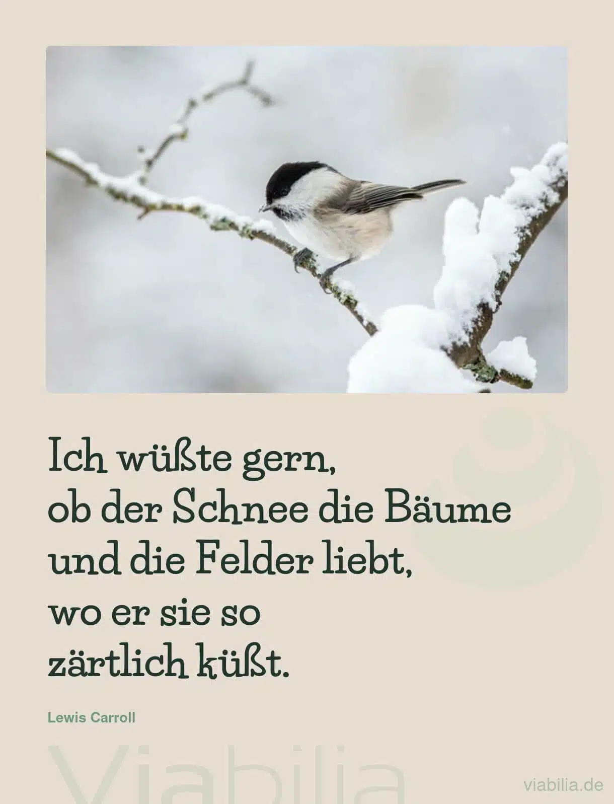 Kurzer Adventsspruch über den Schnee und die Bäume