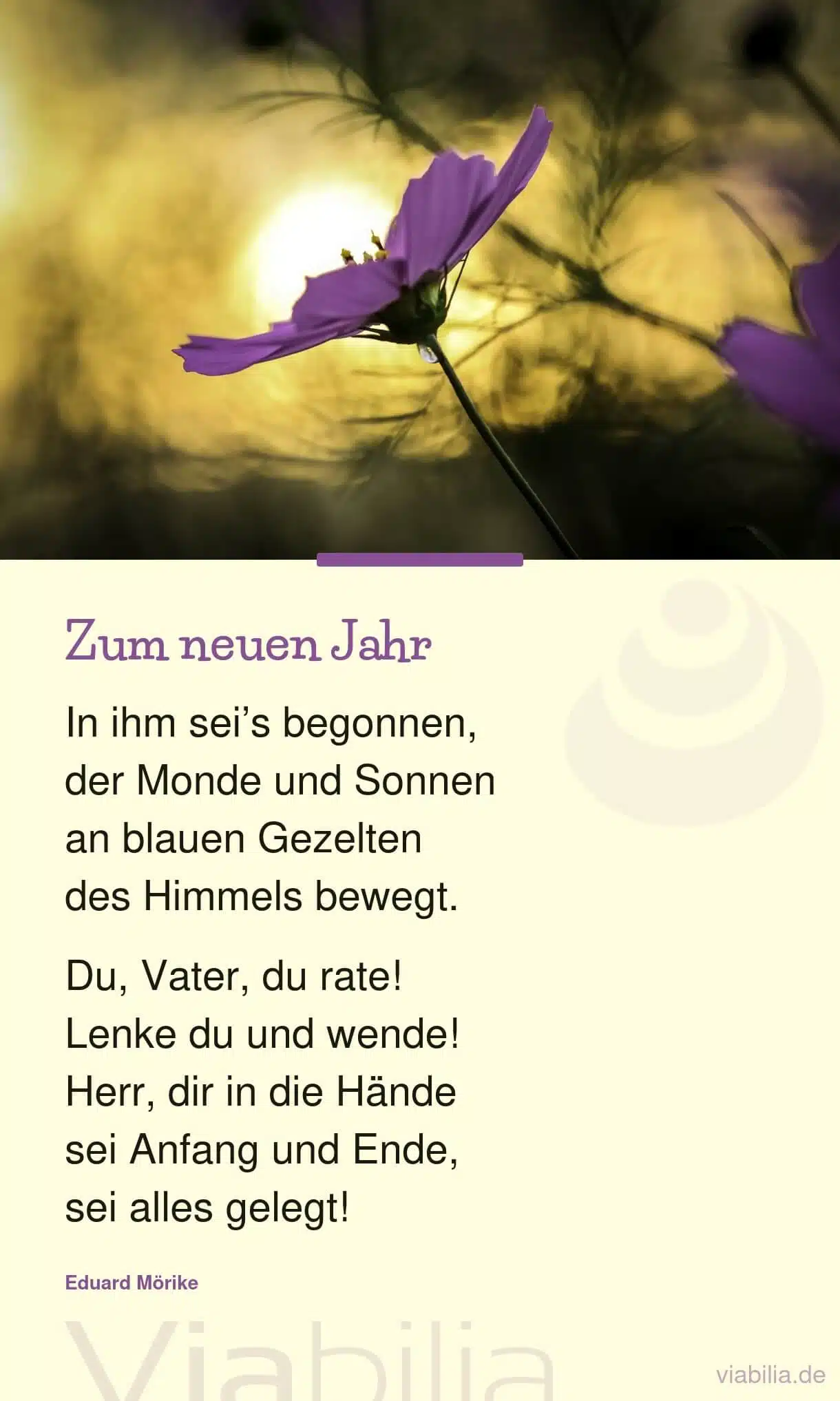 Mystisches, christliches Neujahrsgedicht