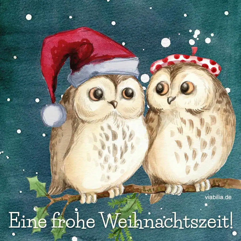 Weihnachtsgruß: eine frohe Weihnachtszeit