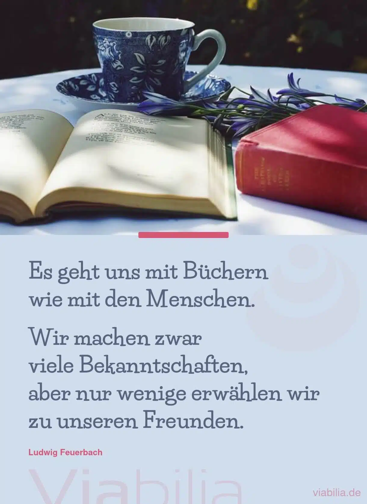 Vergleich Freundschaft und Bücher