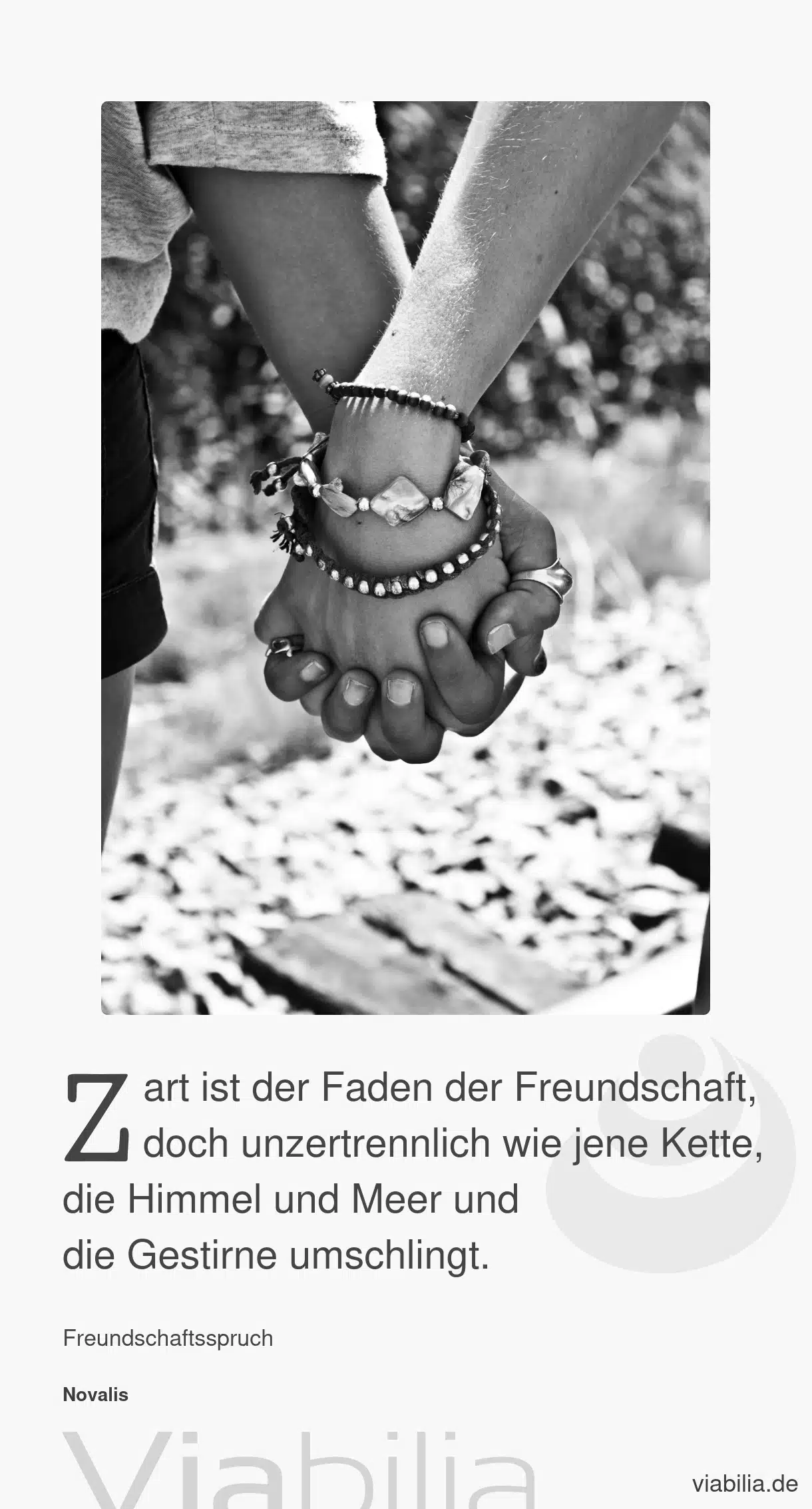 Freundschaftsspruch: zarter Faden der Freundschaft