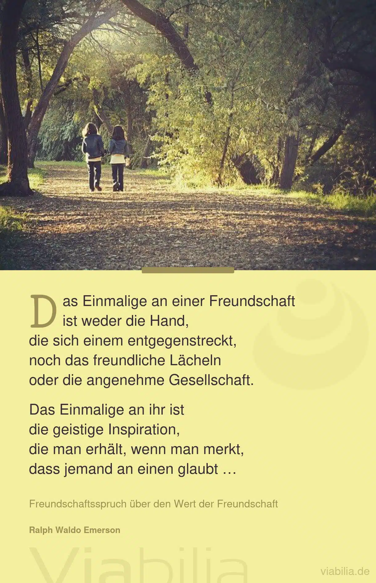 Freundschaftsspruch über das Einmalige an einer Freundschaft