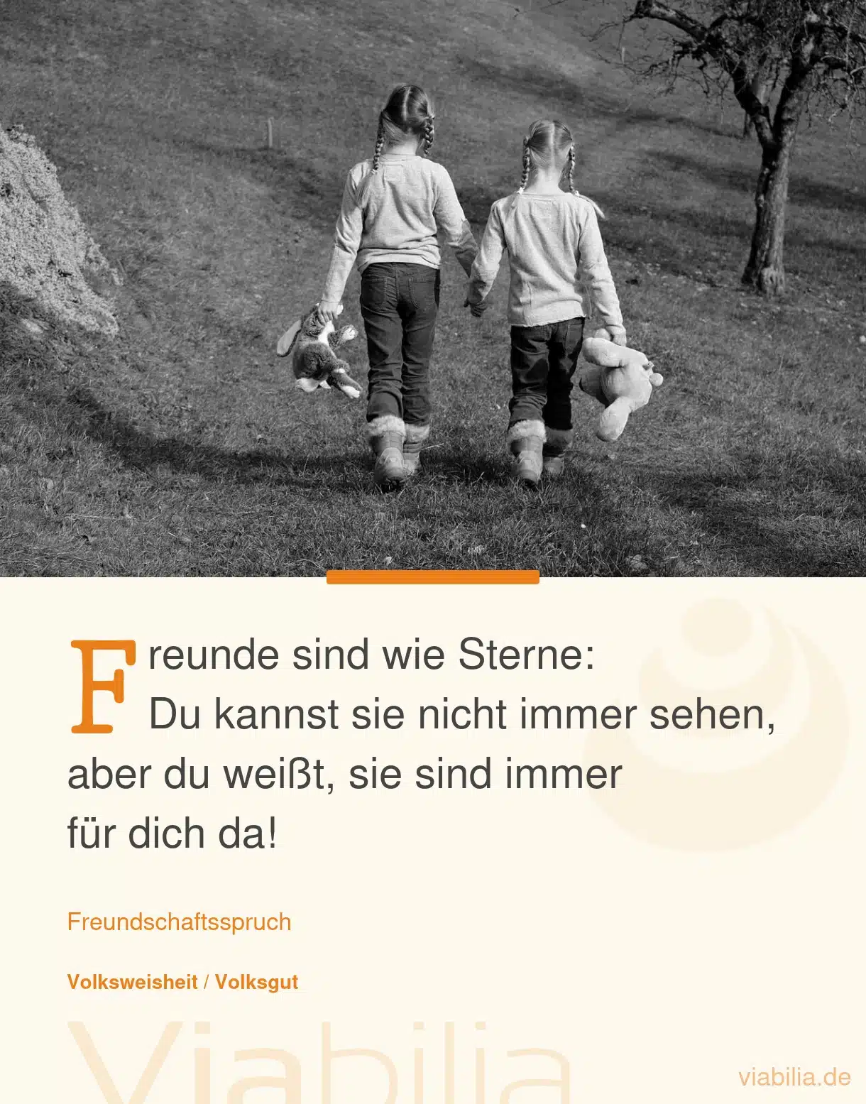 Freundschaftsspruch: Freunde sind wie Sterne