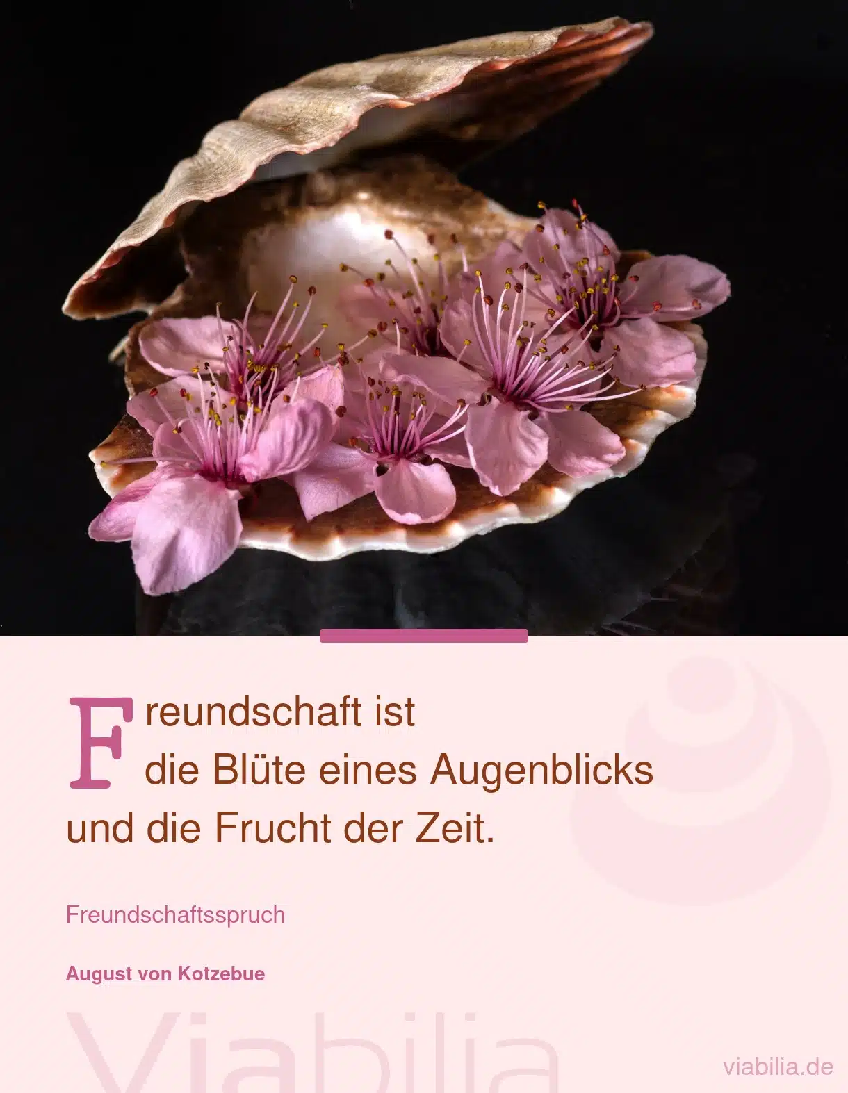 Freundschaftsspruch: Freundschaft ist die Blüte eines Augenblicks