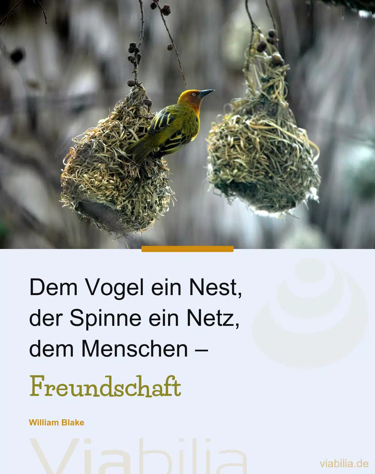 Kurzes Freundschaftsgedicht: dem Vogel ein Nest