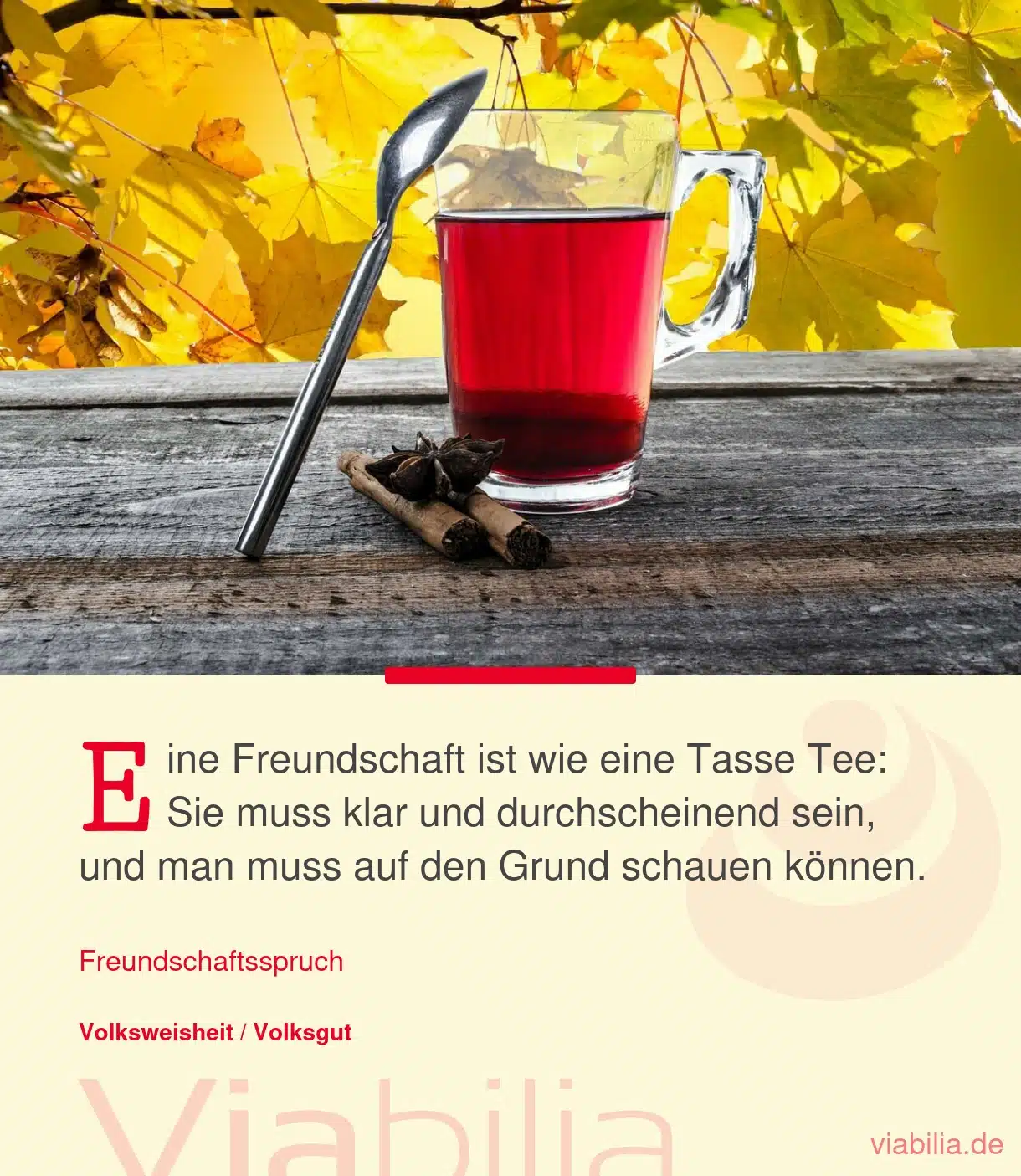 Spruch: Freundschaft ist wie eine Tasse Tee