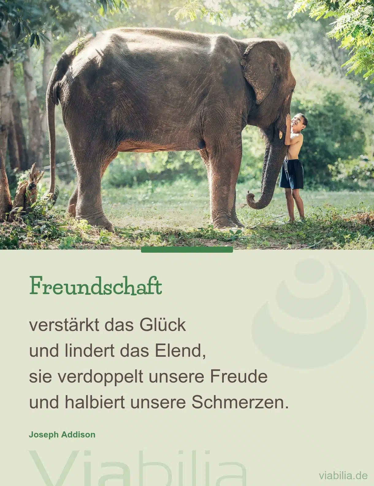 Freundschaftsspruch: Freundschaft verstärkt das Glück