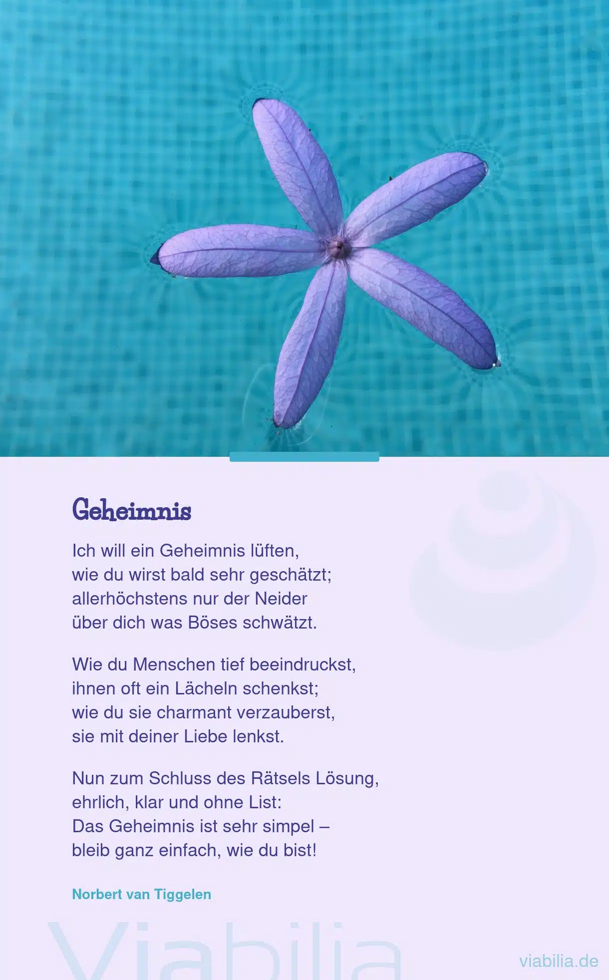 Freundschaftsgedicht: Geheimnis