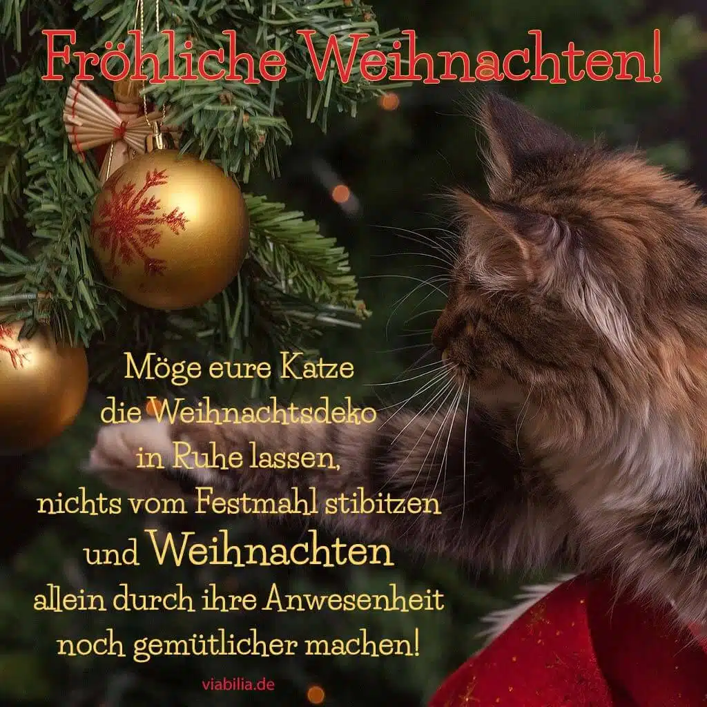 Lustiger Weihnachtsgruß mit Katze!