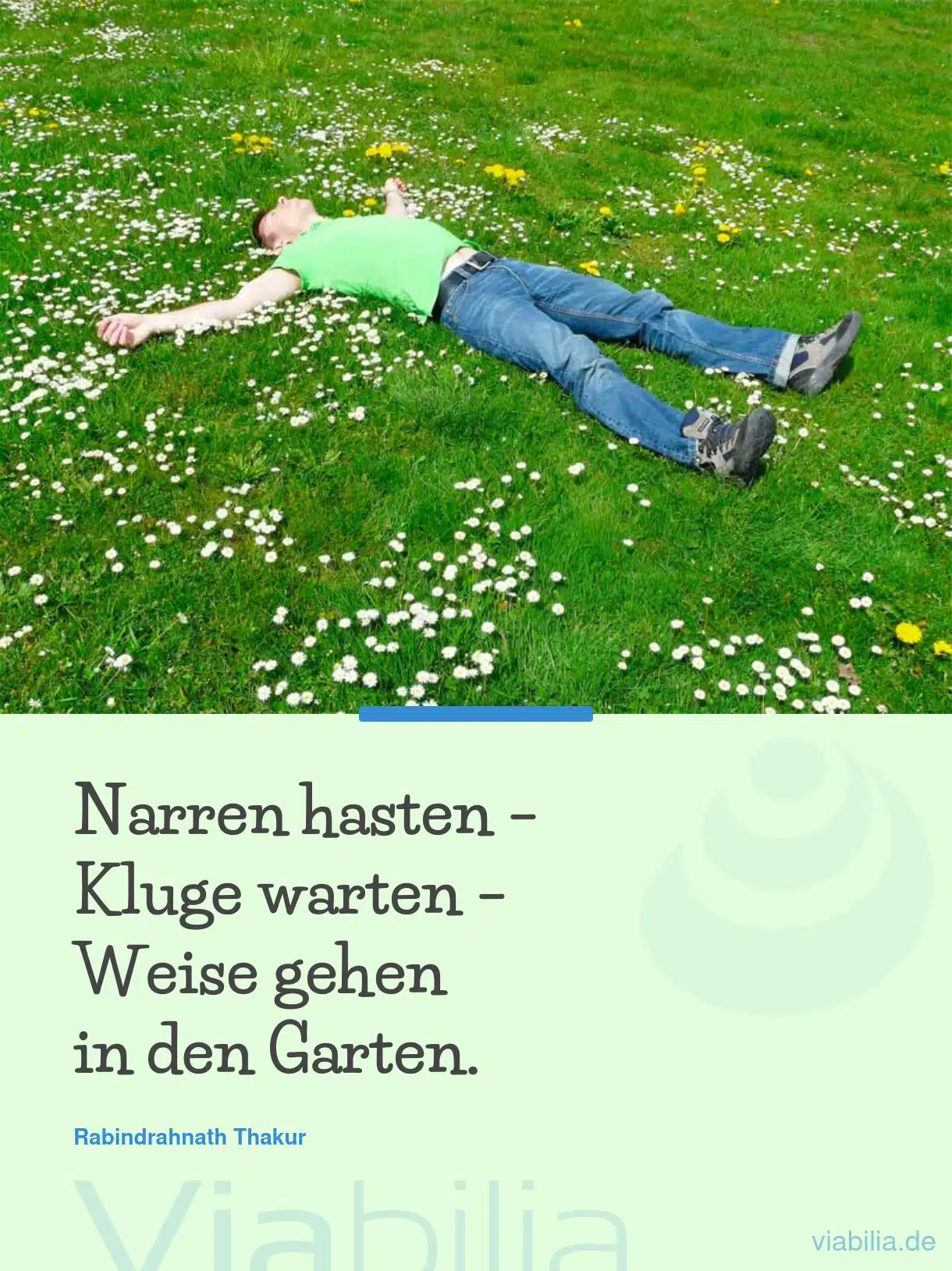 Sprüche über den Garten mit Bildern