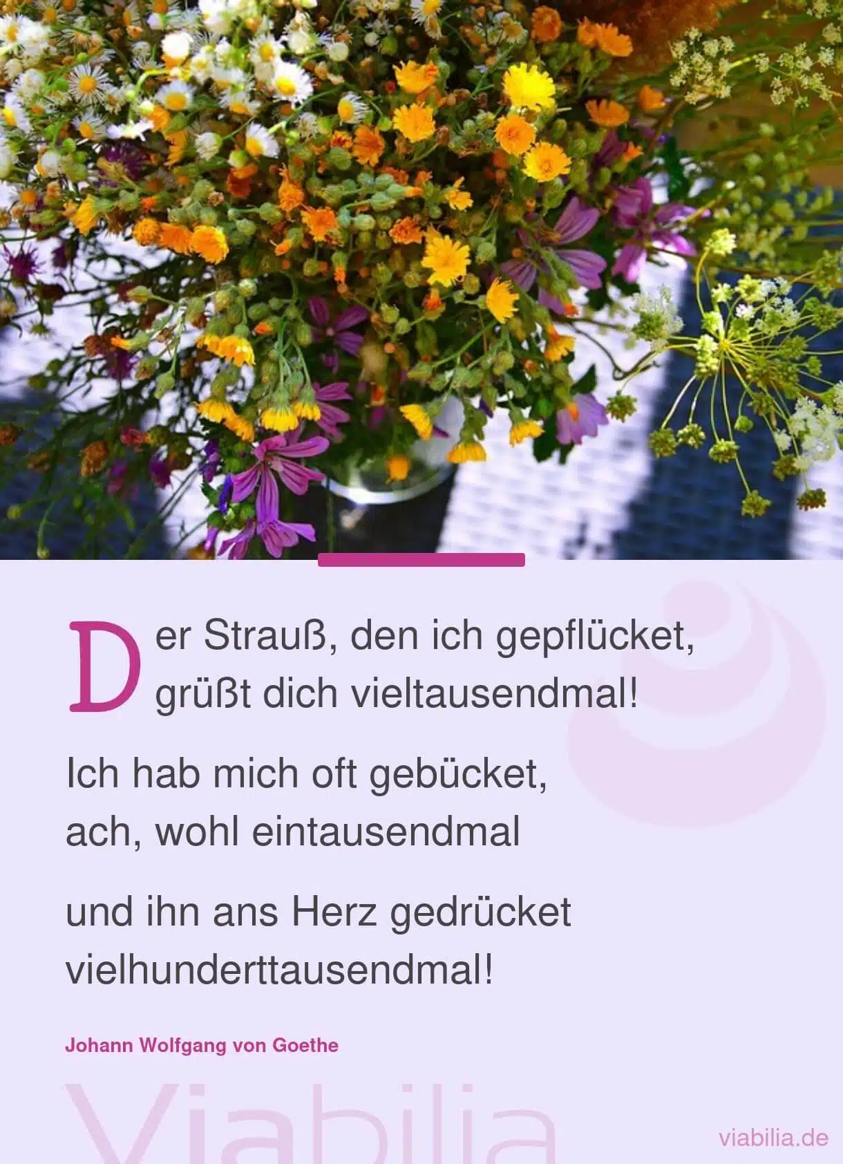 Kurzer Geburtstagsspruch als Gedicht