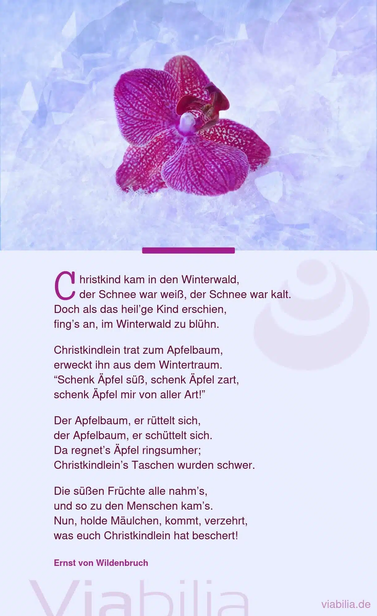 Weihnachtsgedicht: Christkind kam in Winterwald