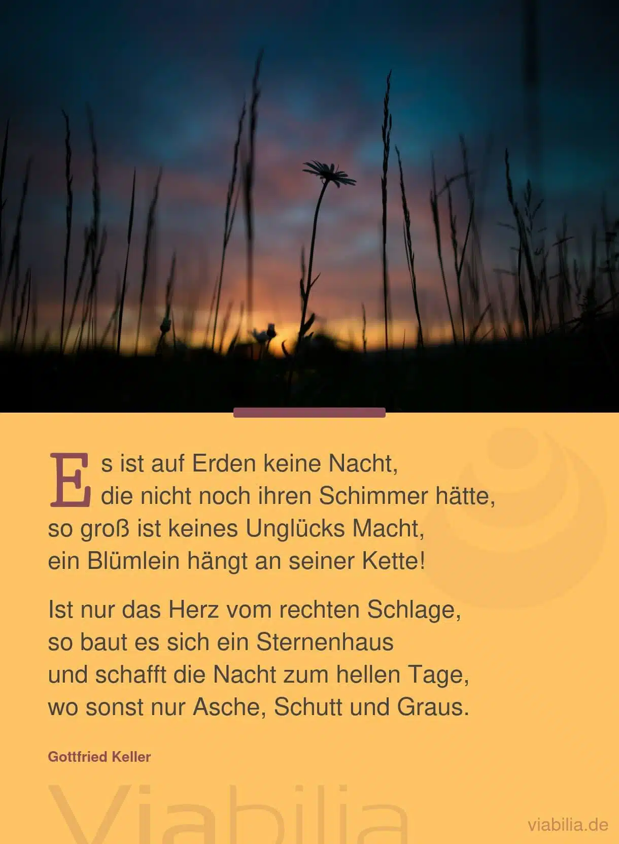 Gedicht: wenn das Herz vom rechten Schlage ist