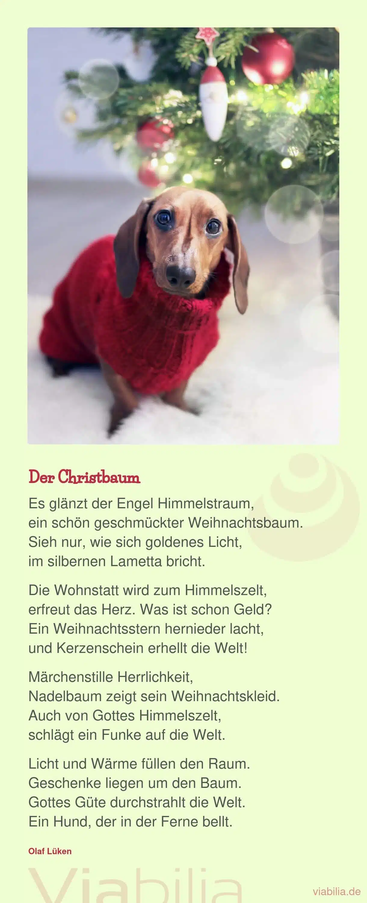 Gedicht mit Hund im Bild: der Christbaum