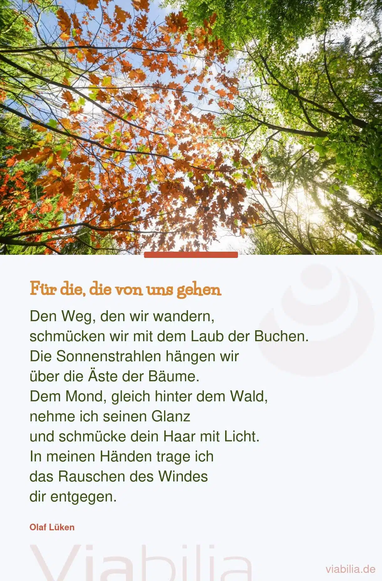 Gedicht von Olaf Lüken: die, die von uns gehen