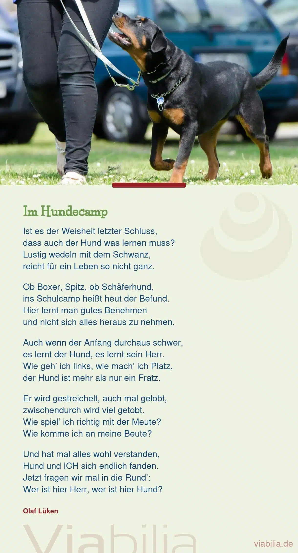 Hundesprüche als Liebeserklärung an den Hund