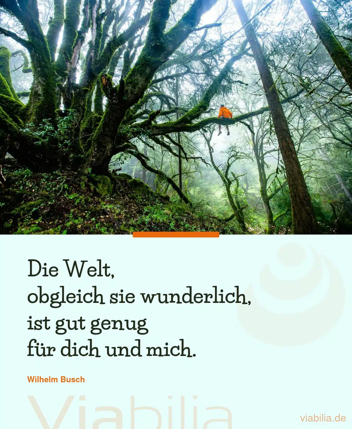 Gedicht über die wunderliche Welt