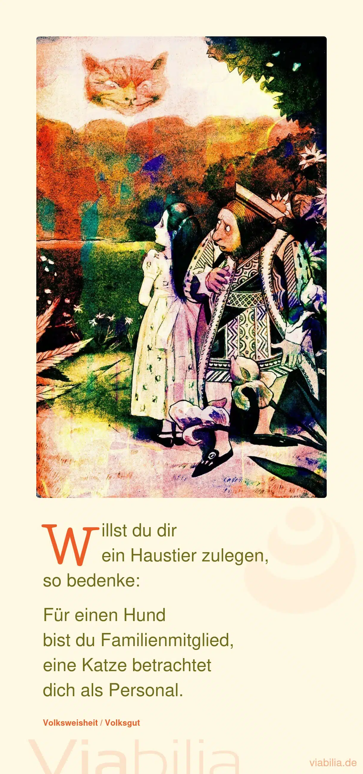 Lustiger Spruch über Haustiere