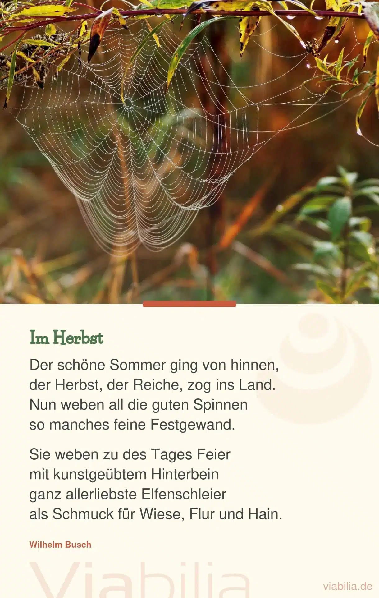 Etwas wehmütiges Herbstgedicht: Sommer von hinnen