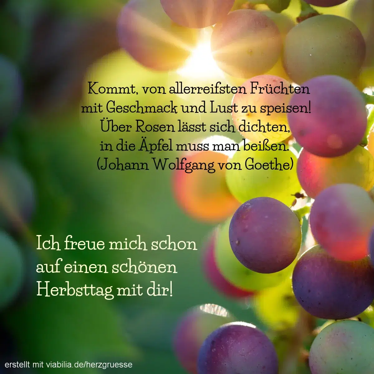 Herbstgrüße, hier mit einem Gedicht und der Freude auf einen gemeinsamen Herbsttag