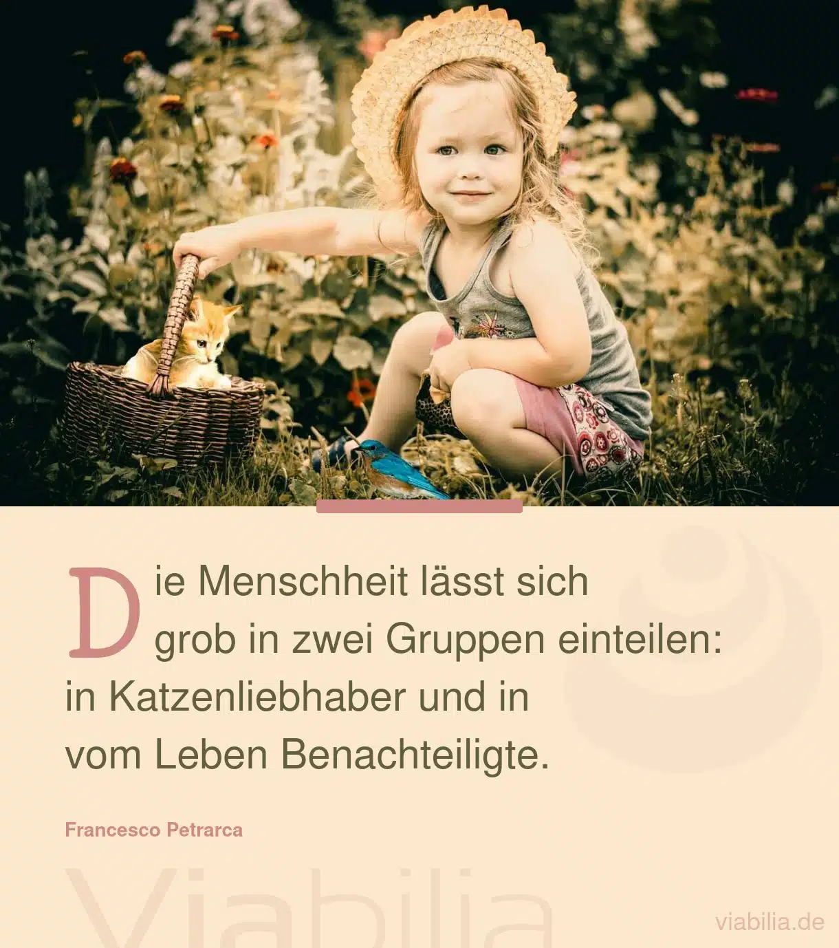 Humorvoller Spruch mit Bild für Katzenliebhaber