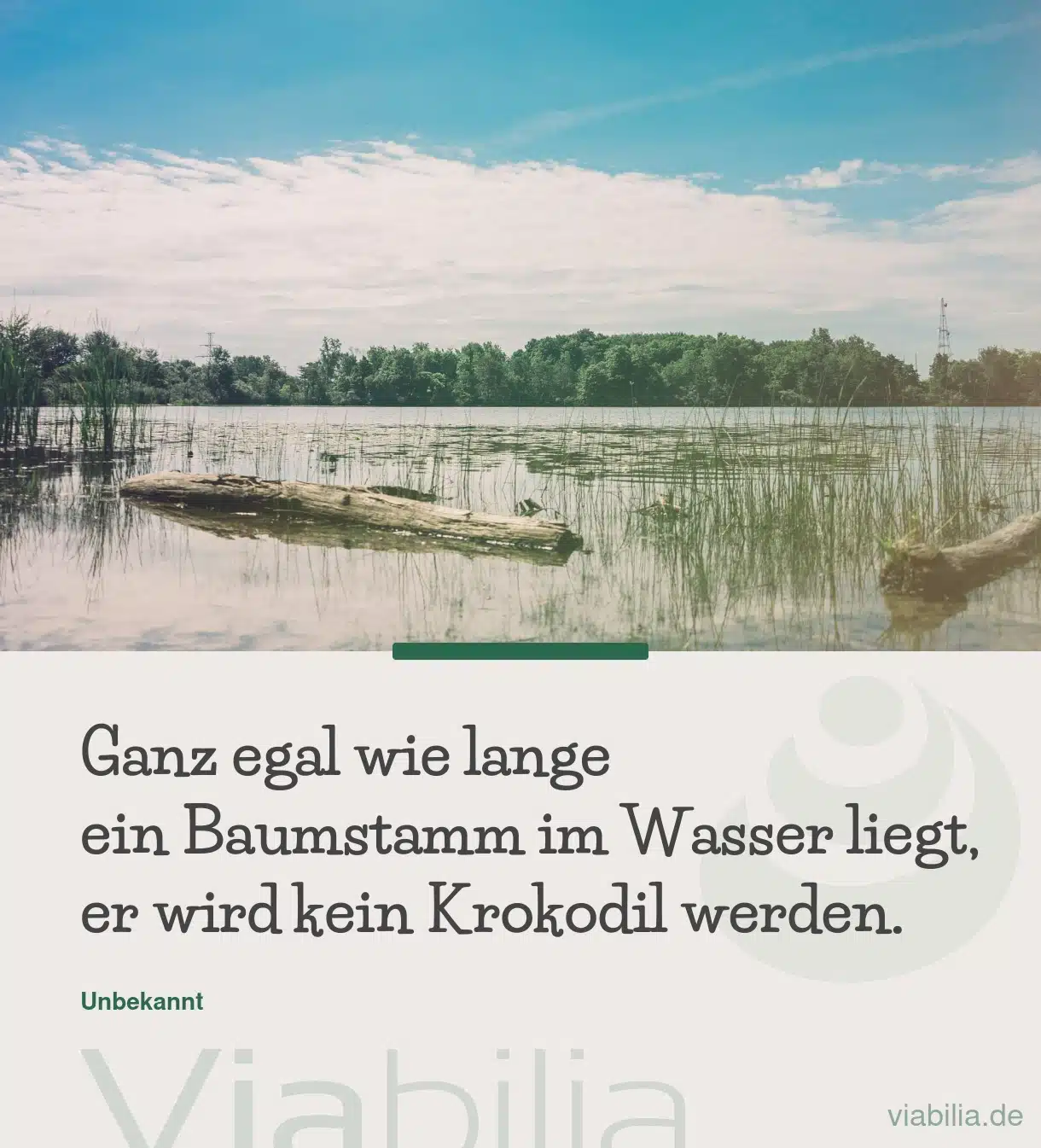 Humorvoller Spruch: Baumstamm im Wasser