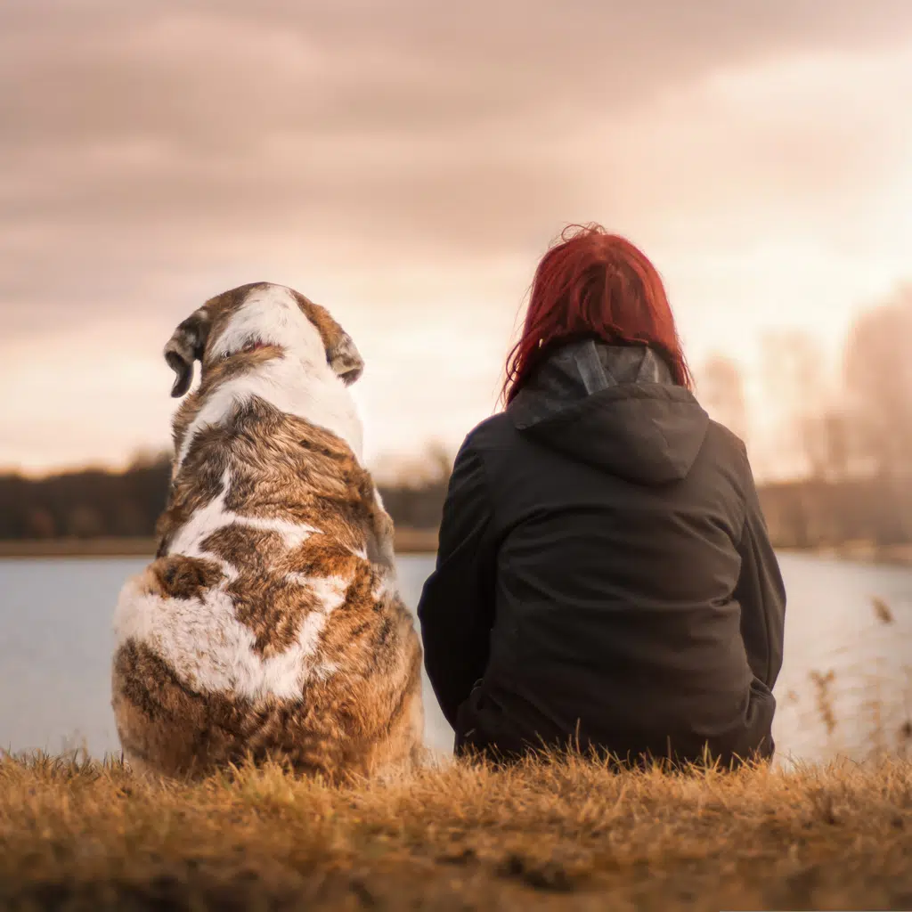 Hundesprüche mit Bildern