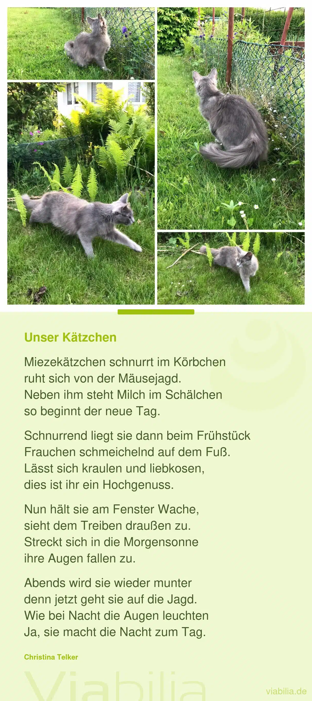 Katzengedicht: Unser Kätzchen