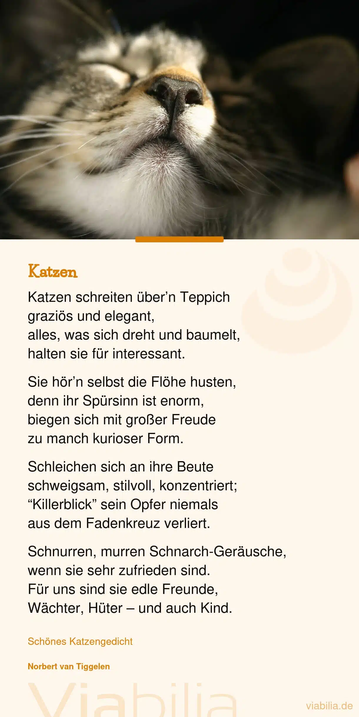 Gedicht über Katzen