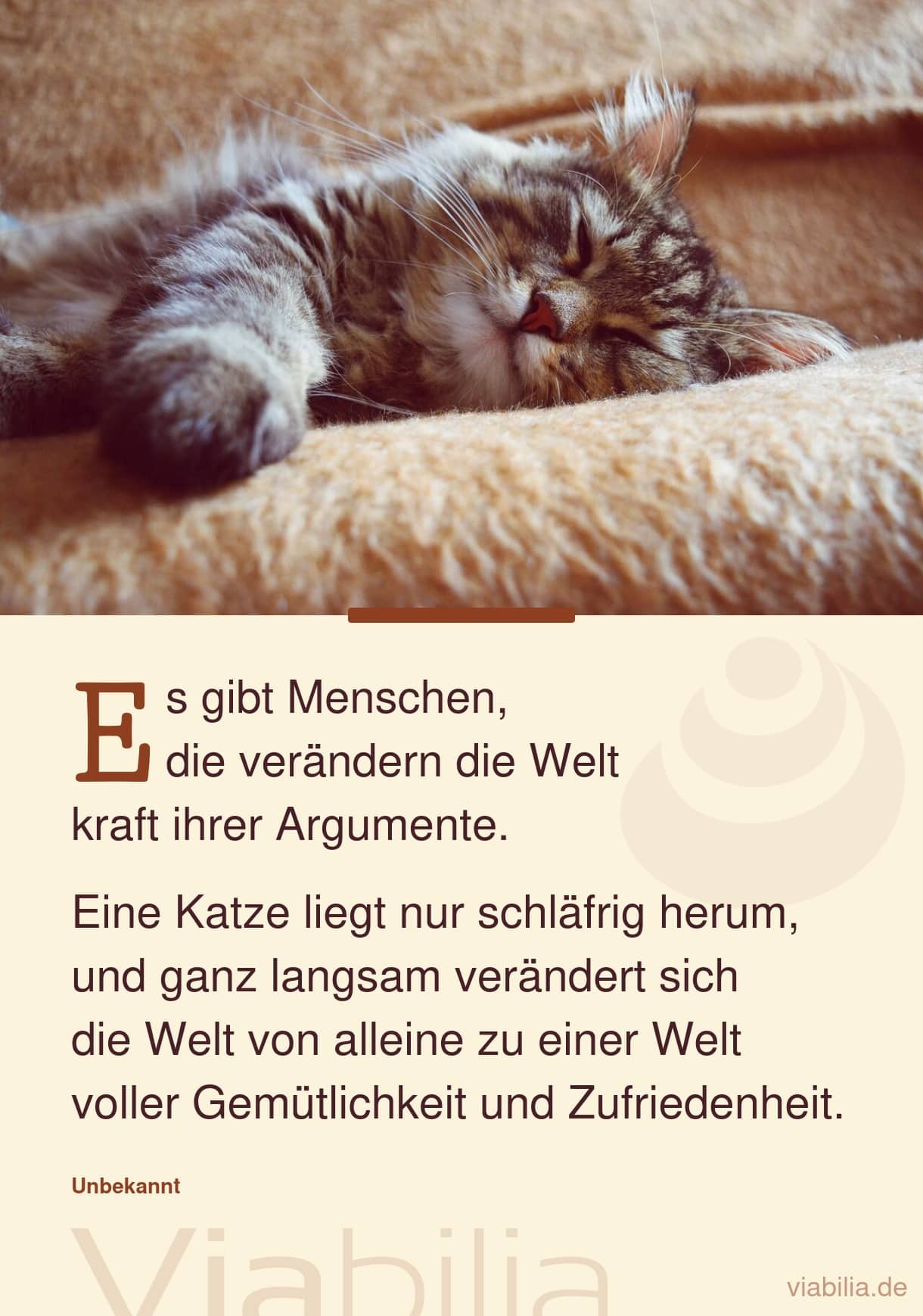 Katzensprüche, hier Katzenspruch: wie eine Katze die Welt verändert