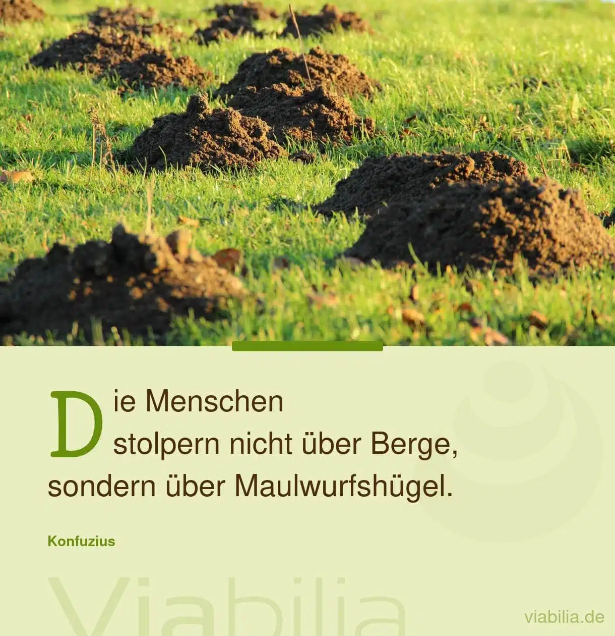 Spruch über Herausforderungen von Konfuzius