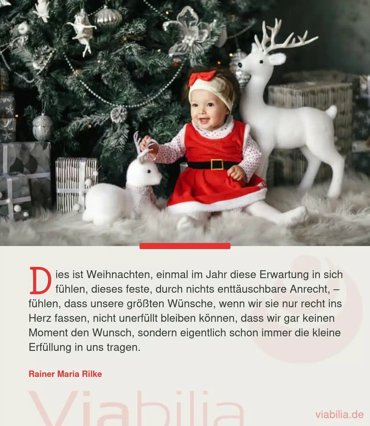 Kurze Weihnachtssprüche: die Erwartung fühlen