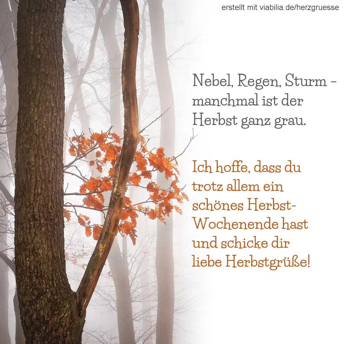 Liebe Herbstgrüße bei Nebel im Herbst