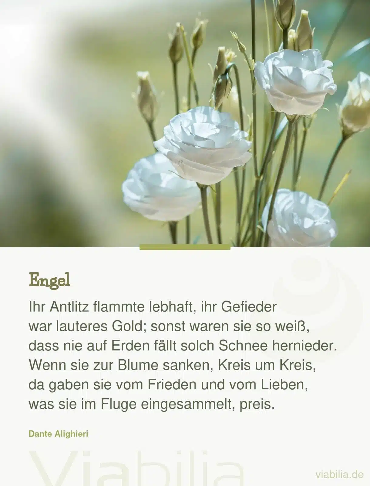 Liebesspruch über Engel, Frieden und Liebe