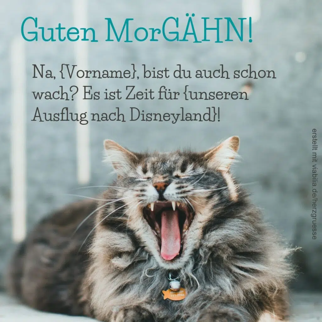 Lustiger guten Morgen-Gruß mit Katze