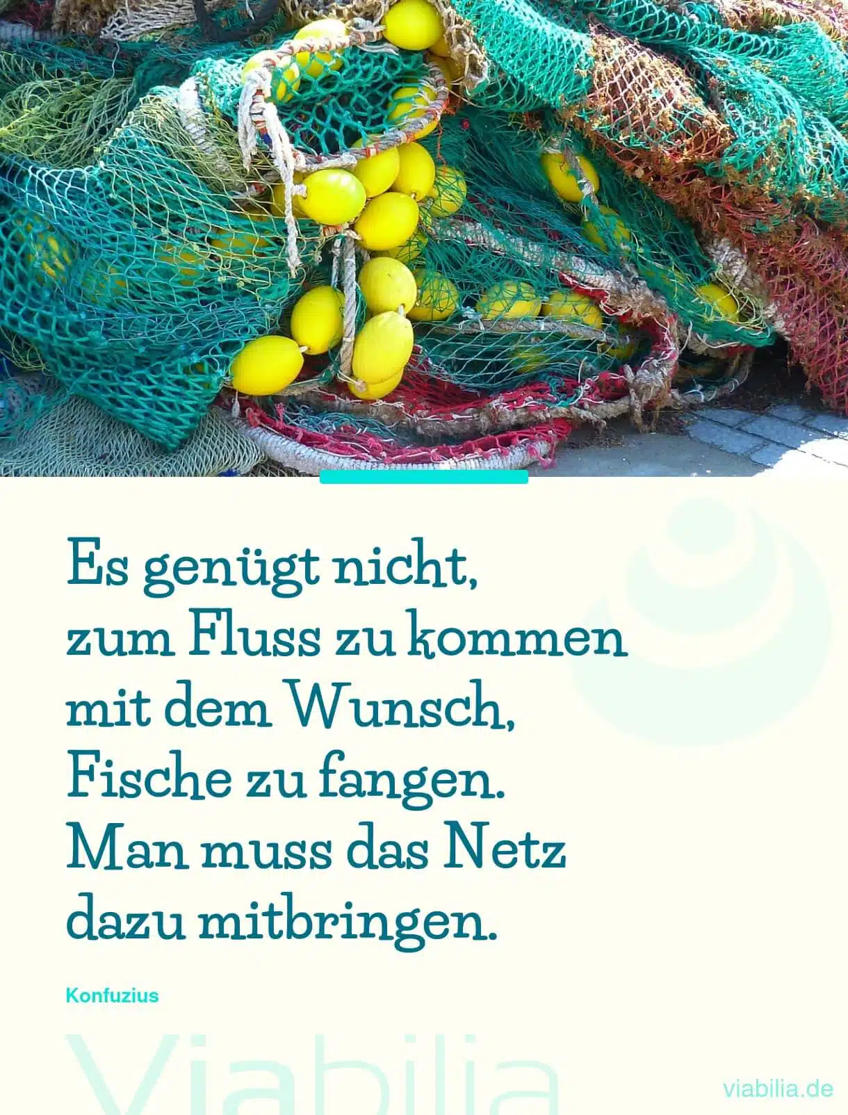 Spruch bzw. Metapher über Fische fangen