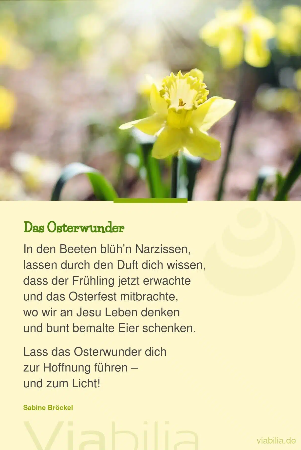 Modernes Ostergedicht: Osterwunder