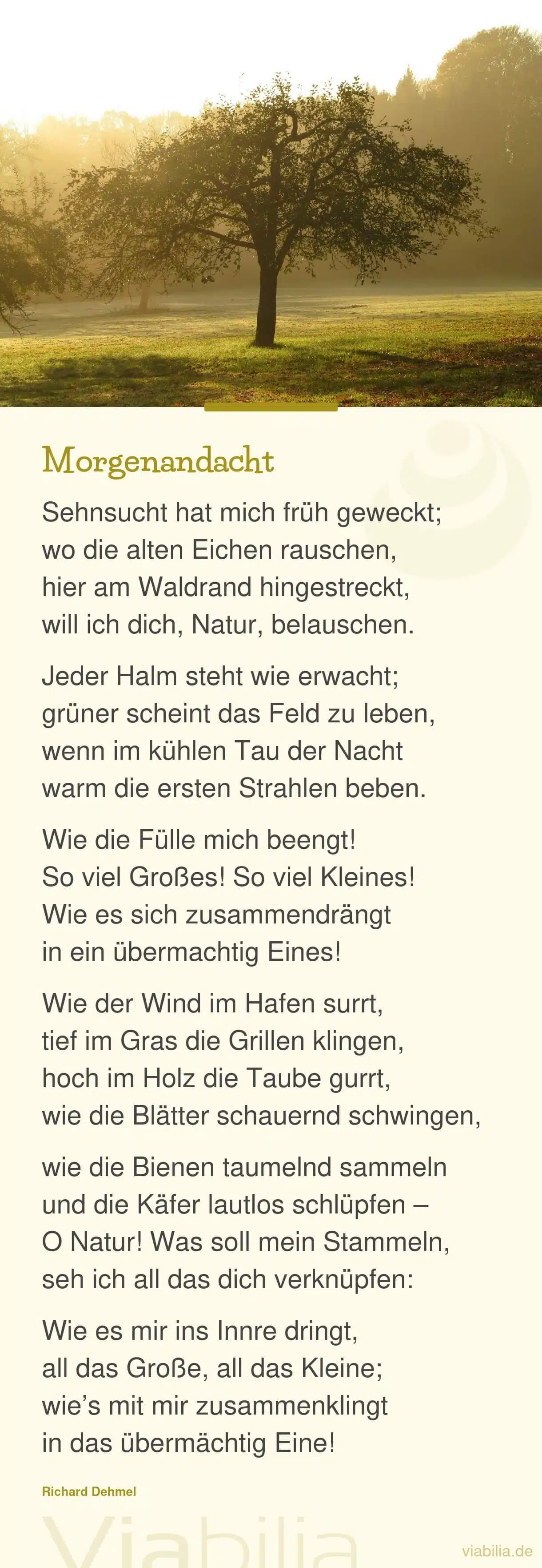 Morgenandacht: Gedicht über die Natur, die das Herz berührt