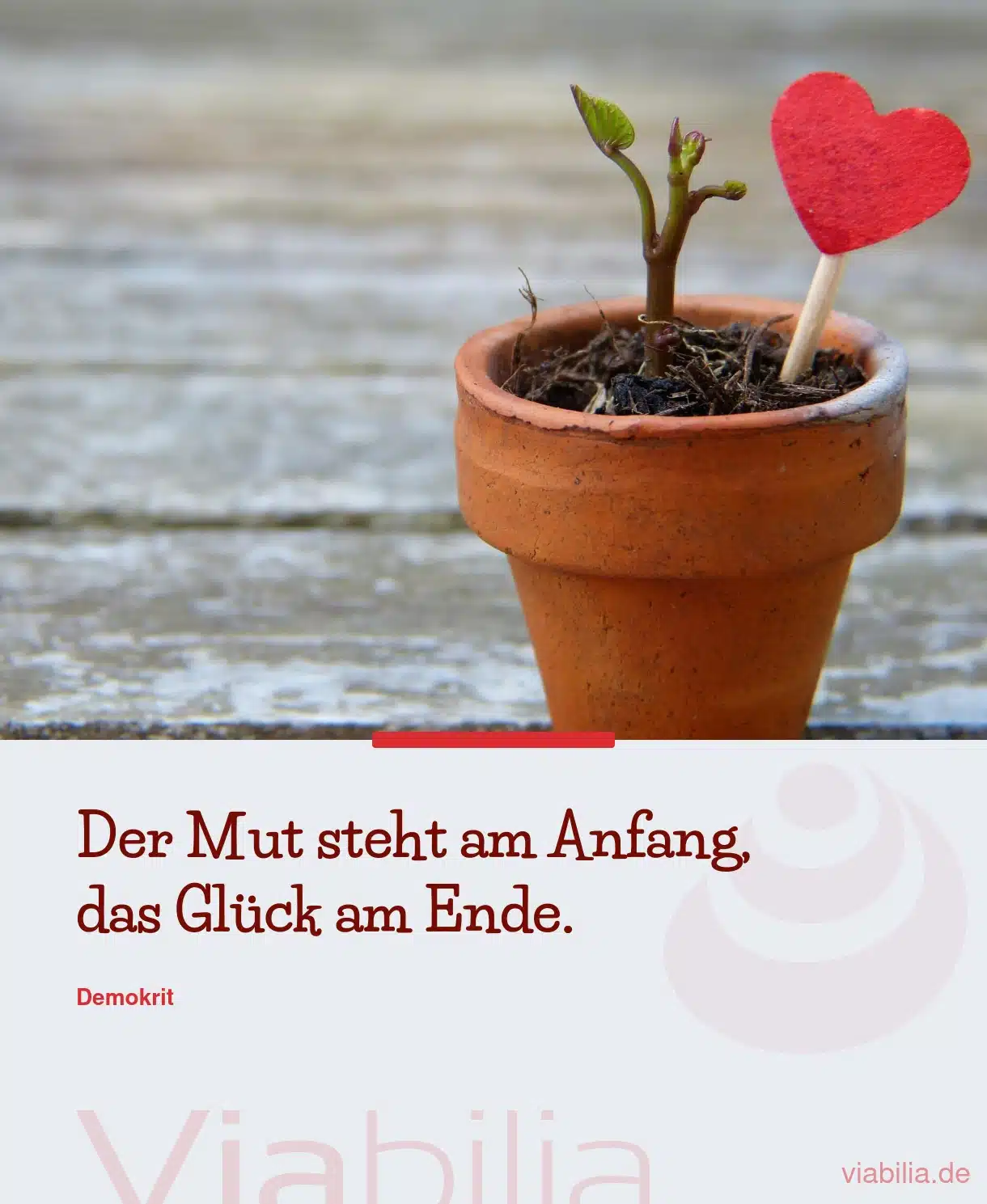 Mut steht am Anfang