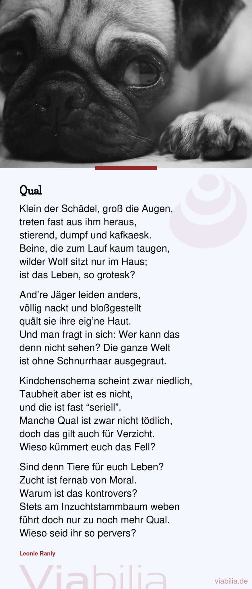 Gedicht zum Nachdenken über Tierzucht