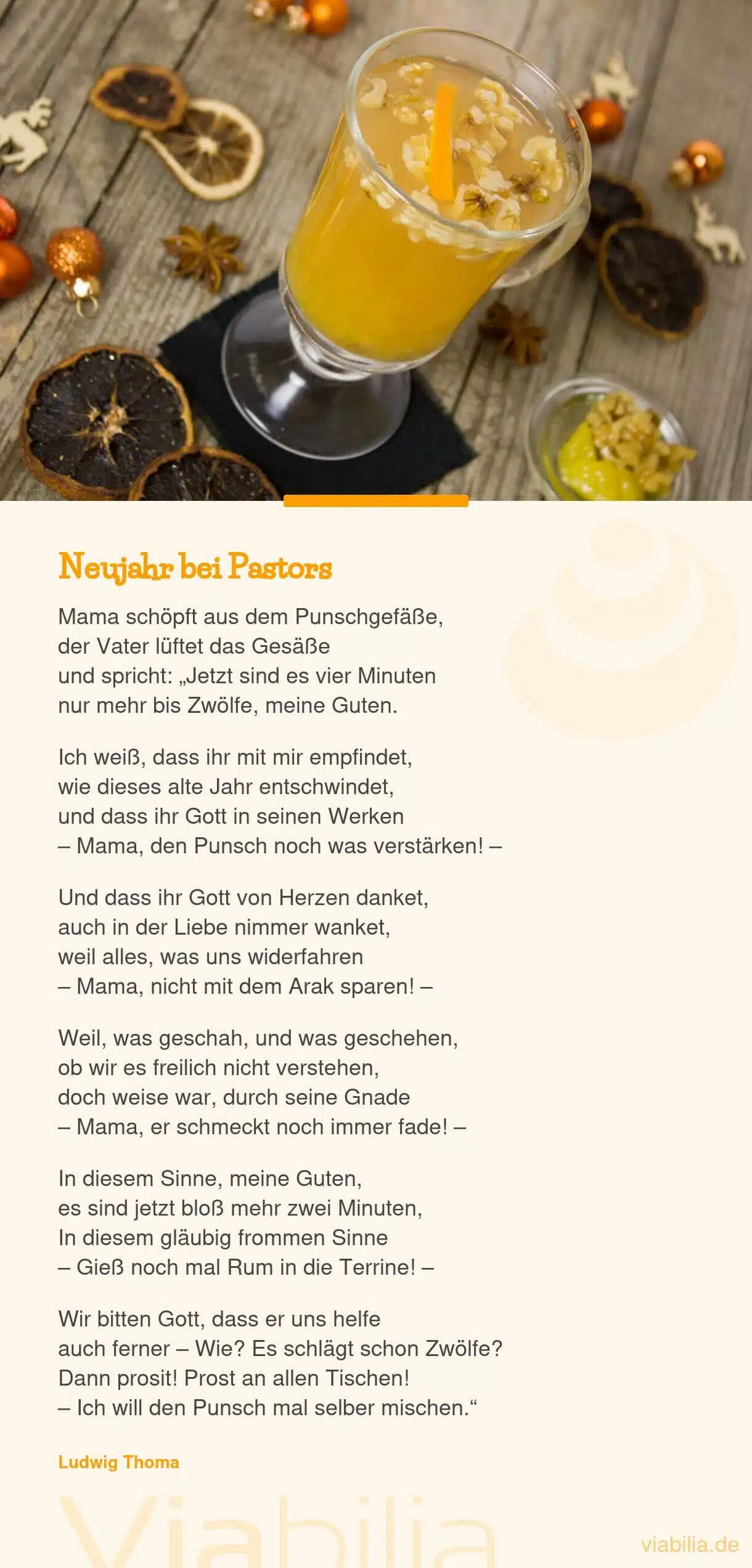 Lustiges Neujahrsgedicht: Neujahr bei Pastors