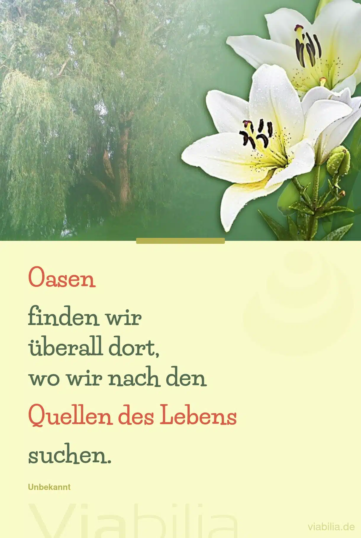 Oasen als Quellen des Lebens