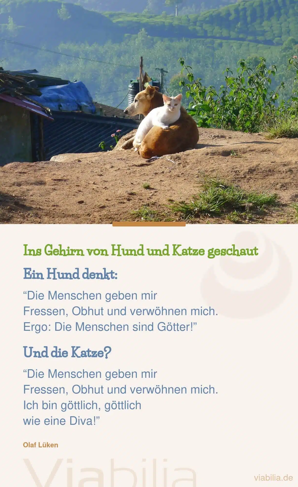 Olav Lüken: Lustiger Spruch über Hund und Katze