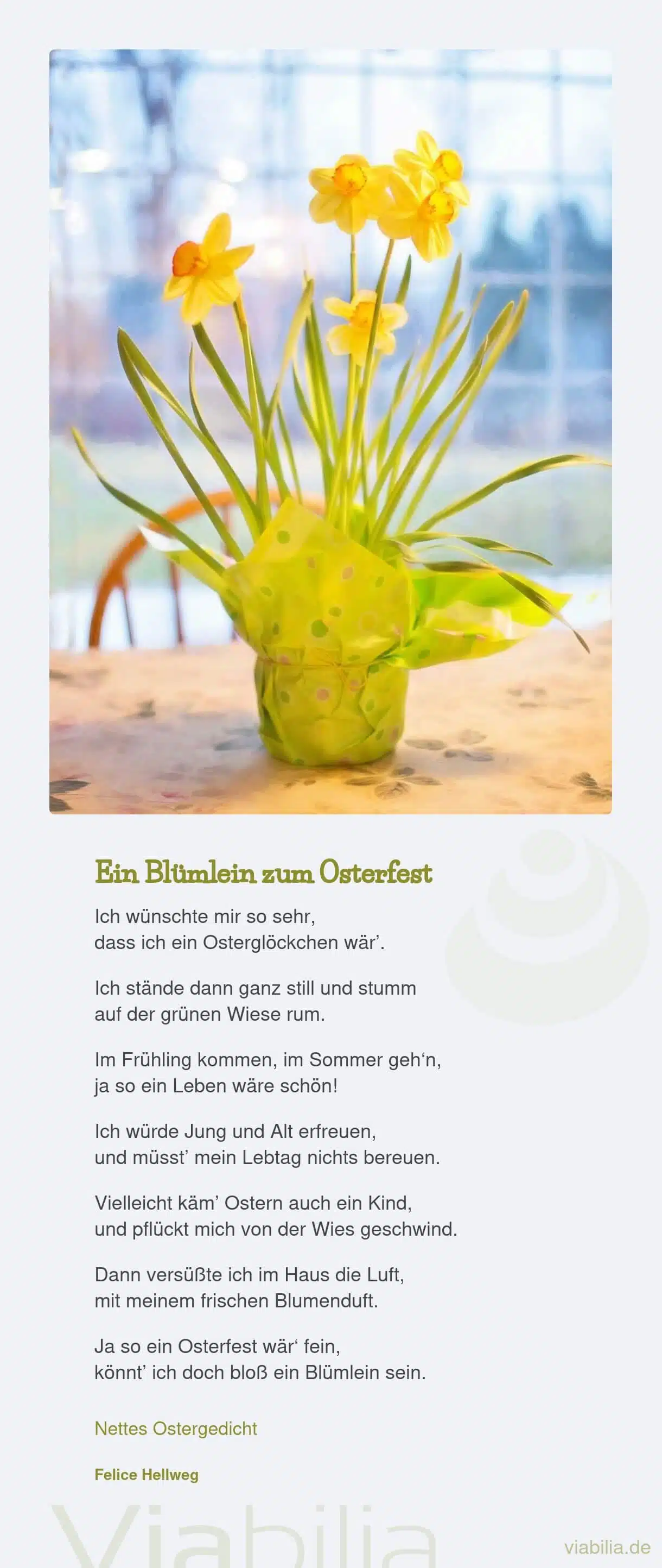 Osterspruch bzw. Gedicht: ein Blümelein zum Osterfest