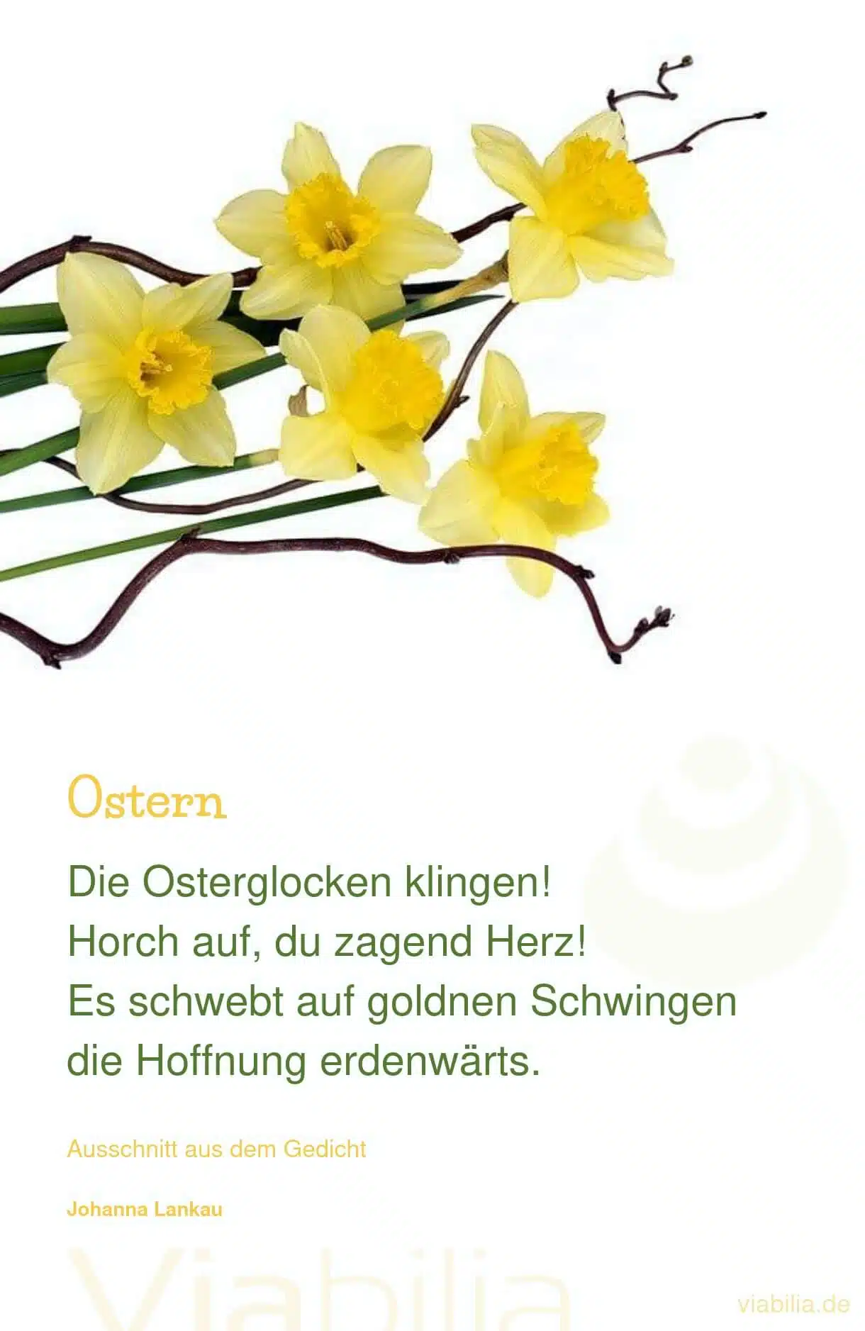 Fröhliches Ostergedicht: Osterglocken klingen