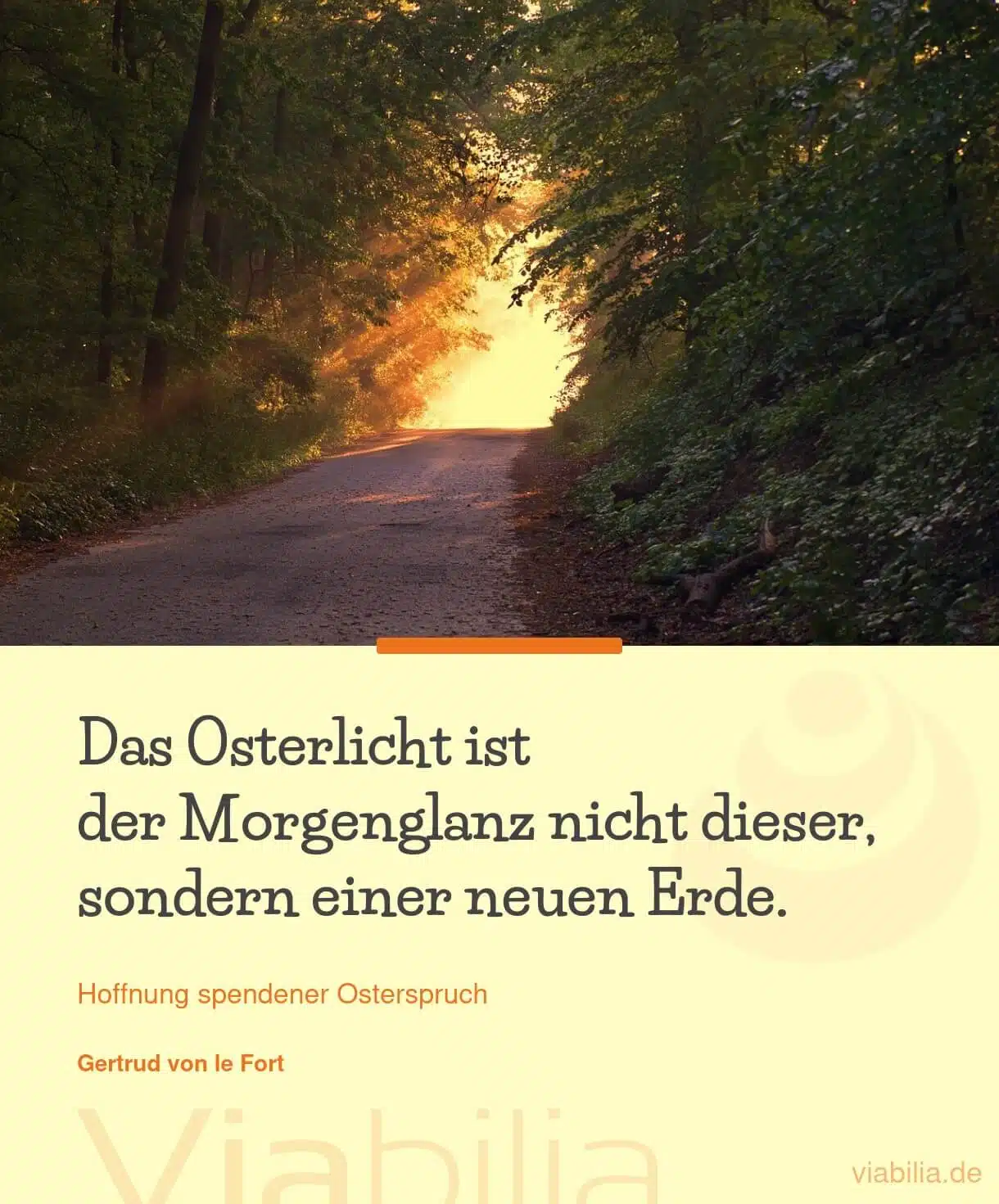 Ostern: Osterlicht und Morgenglanz