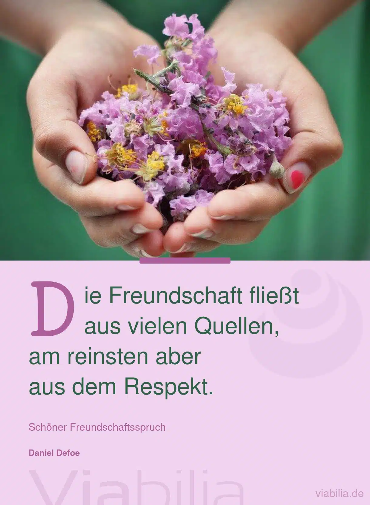 Freundschaftsspruch über den Respekt in der Freundschaft