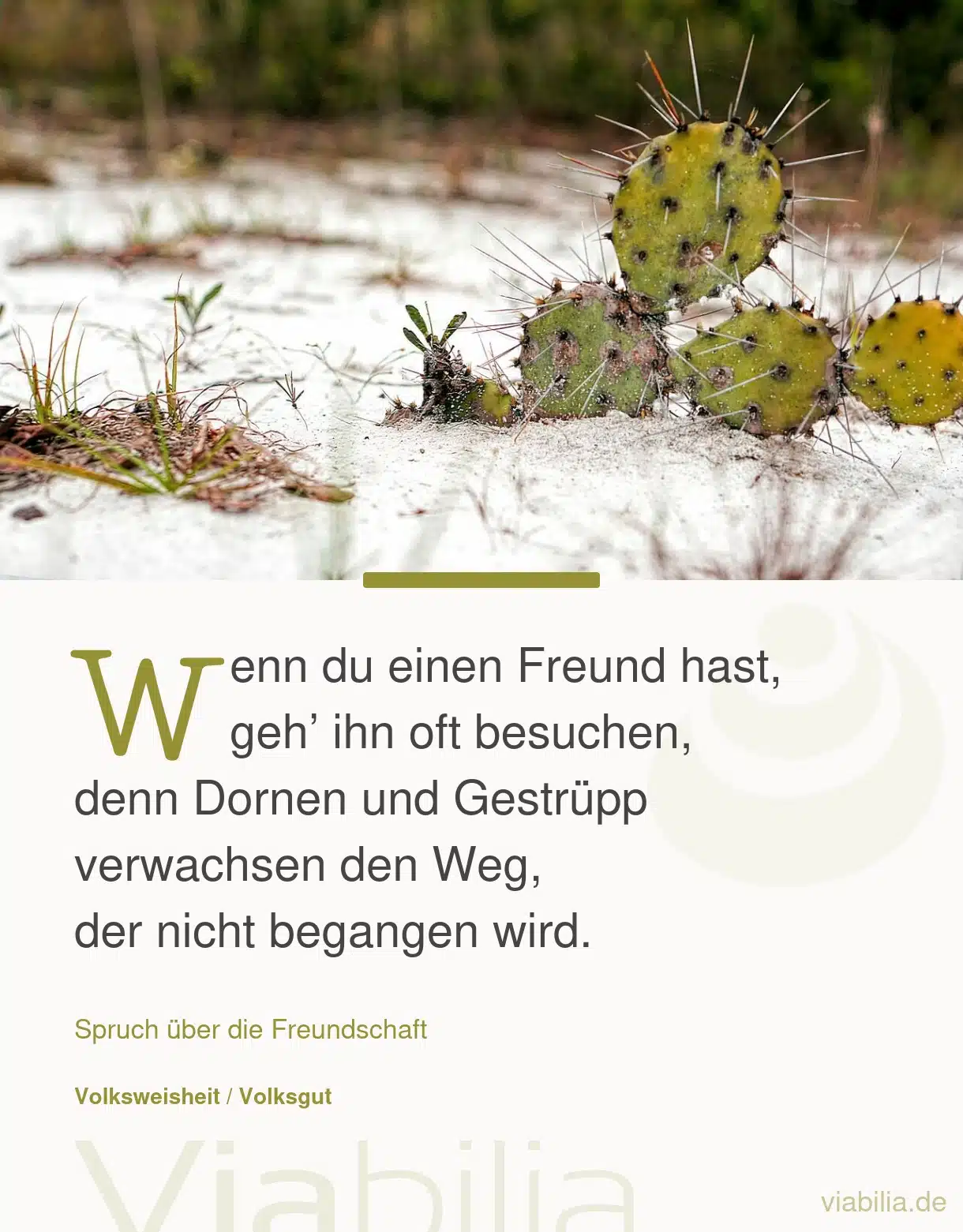 Freundschaftsspruch über Freundschaft pflegen